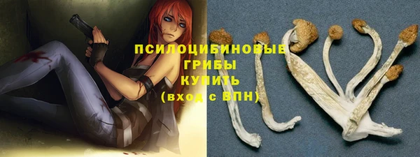 гашик Богородск