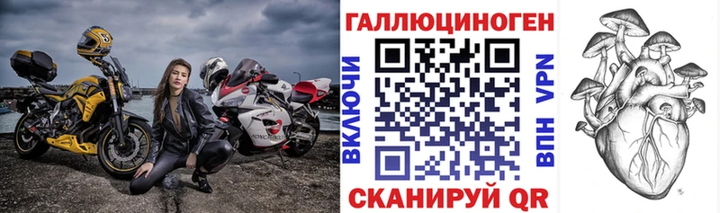 Псилоцибиновые грибы Psilocybine cubensis  Белокуриха 